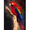 Macaw Parrot Diamond Painting