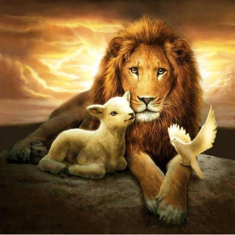 Lion, Lamb & Pigeon