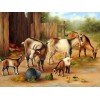 Goats & Chickens Painting Kit