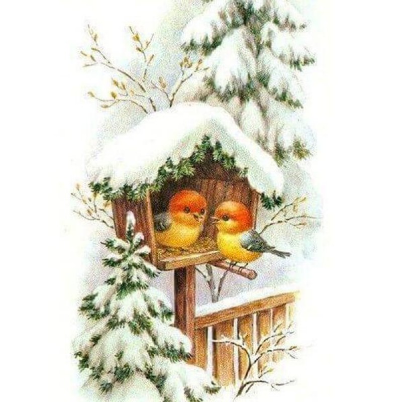 Little Birds House i...