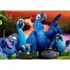 Cartoon Parrots Family