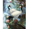 Red Crowned Crane Diamond Painting Kit