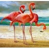 Flamingos on the Beach