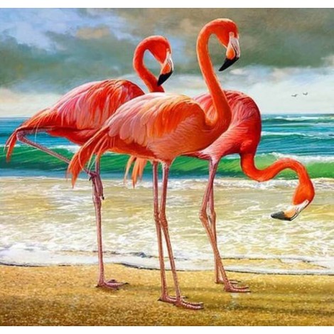 Flamingos on the Beach