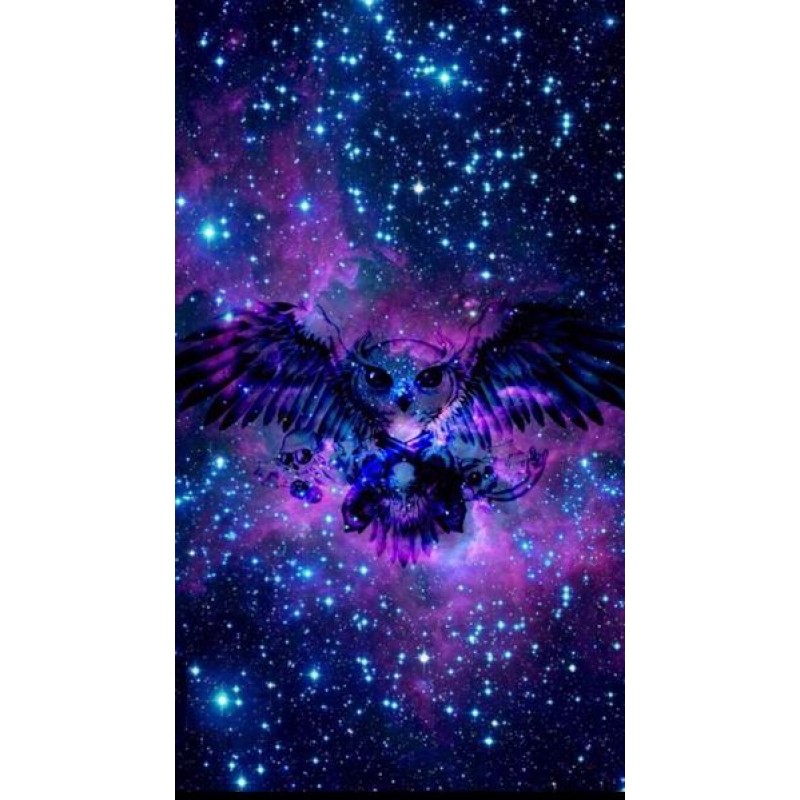 Galaxy & Owl - A...