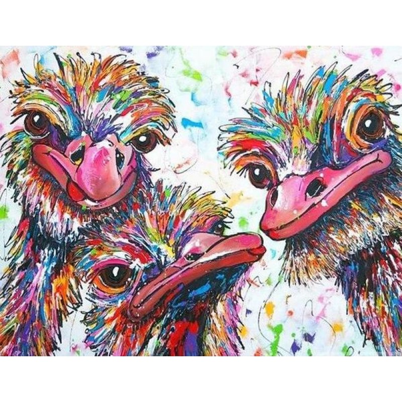 Colorful Ostrich Pai...