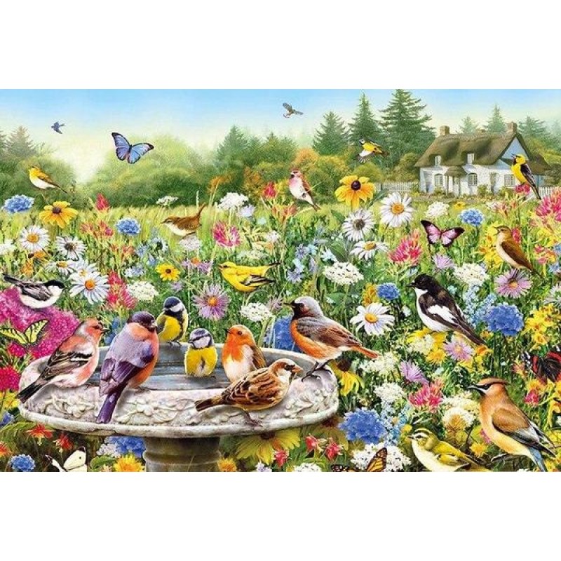 Sweet Birds in Flowe...