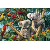 Birds & Koalas on Trees