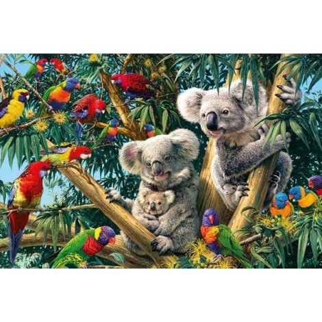 Birds & Koalas on Trees