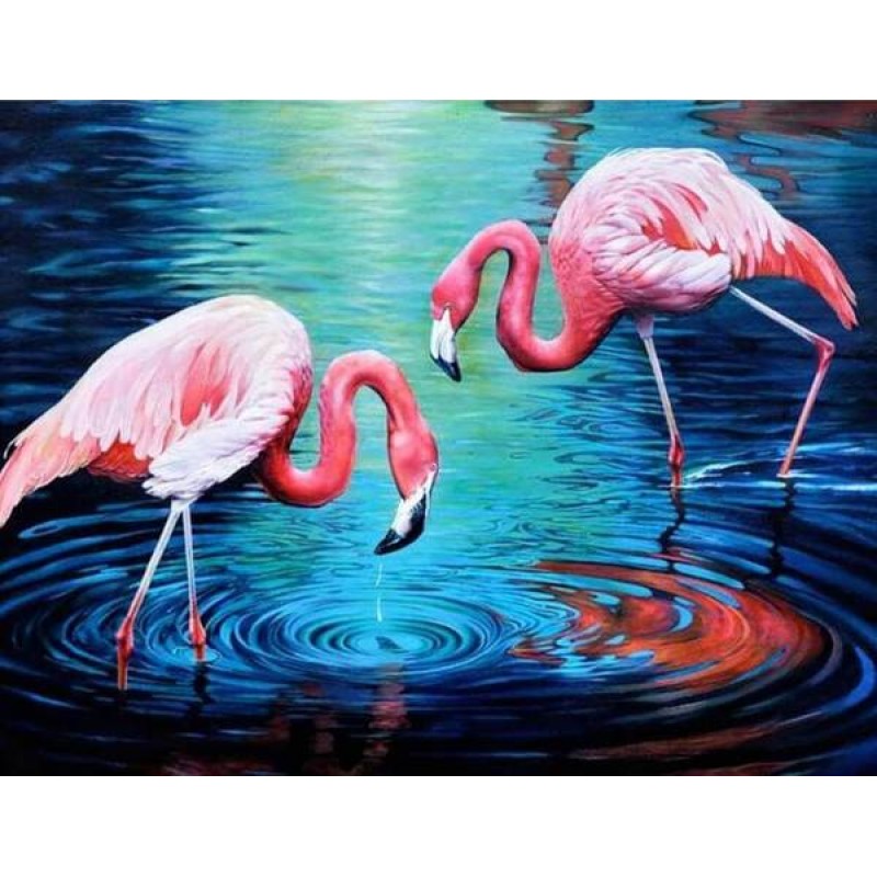 Flamingos Pair in Wa...