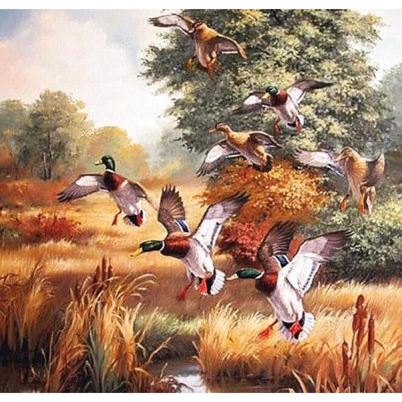 Flying Ducks Diamond...