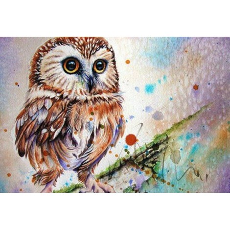 Owl DIY Painting Kit