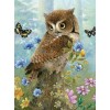 Owl & Butterflies