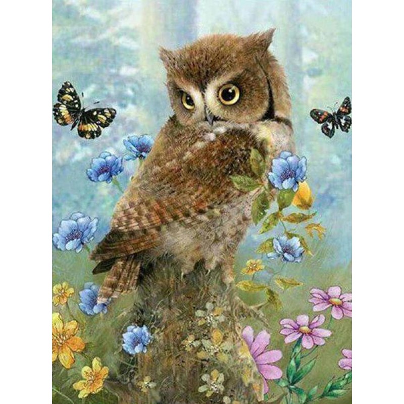 Owl & Butterflie...