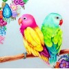 Parrots Pair Painting Kit