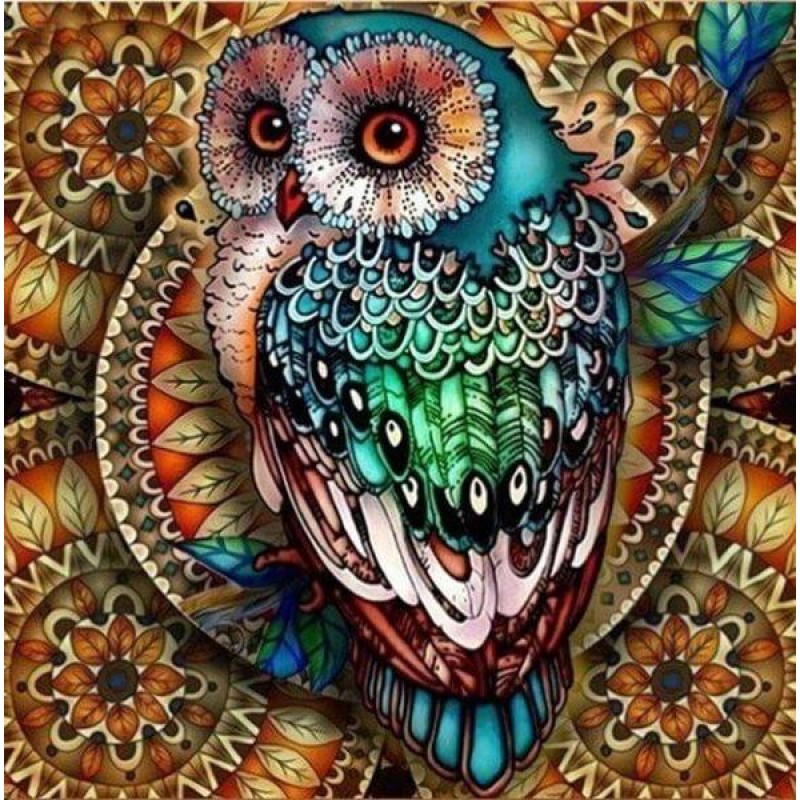 Colorful Owl