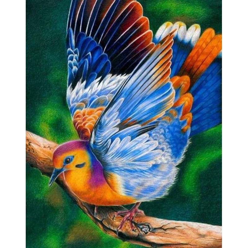 Colorful Dove Painti...