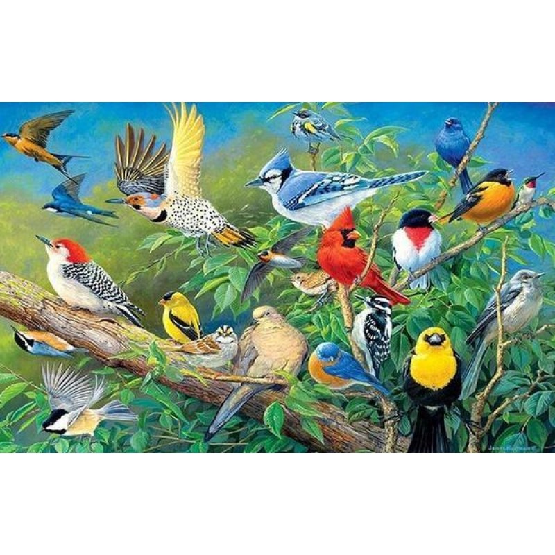 Collection of Birds ...