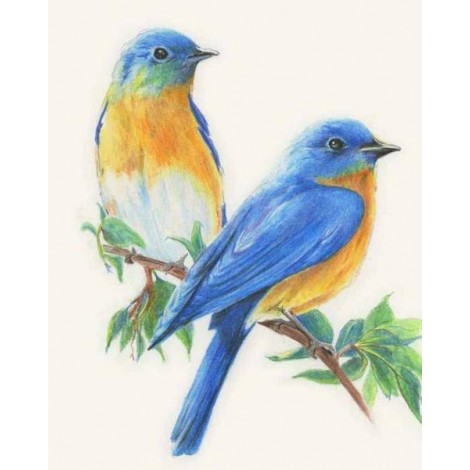 birds couple Painting with Diamond