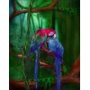 African Parrots in Thick Forest
