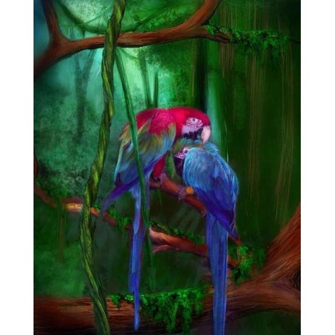 African Parrots in Thick Forest