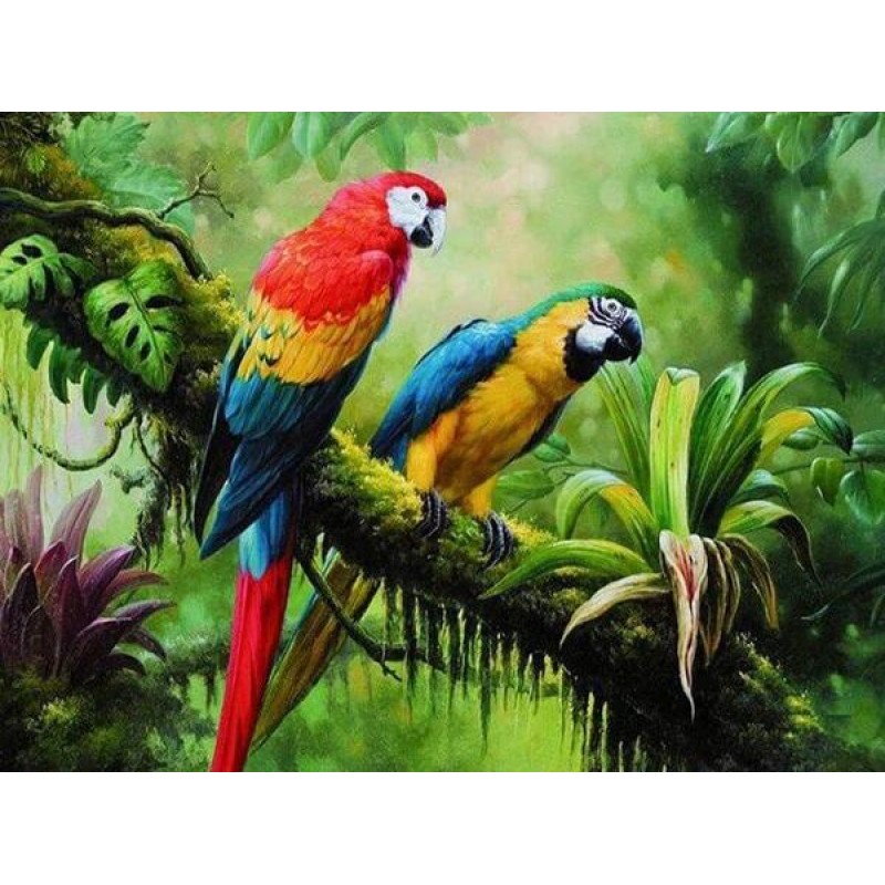 Colorful Parrots in Fores...