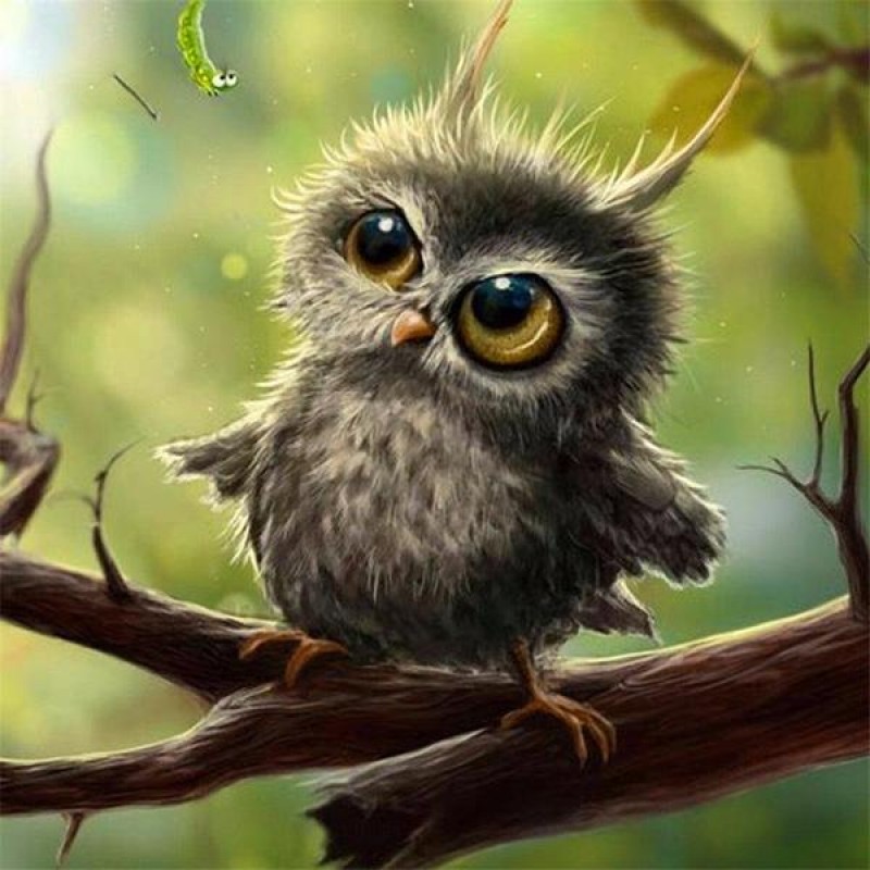 An Owl Starring Caterpill...
