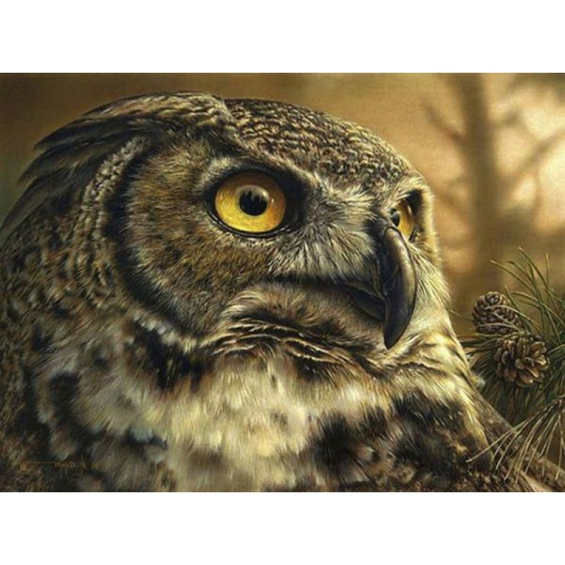 Owl Beauty Diamond Painti...