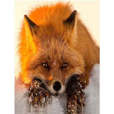 Sad Fox - Paint by Diamonds