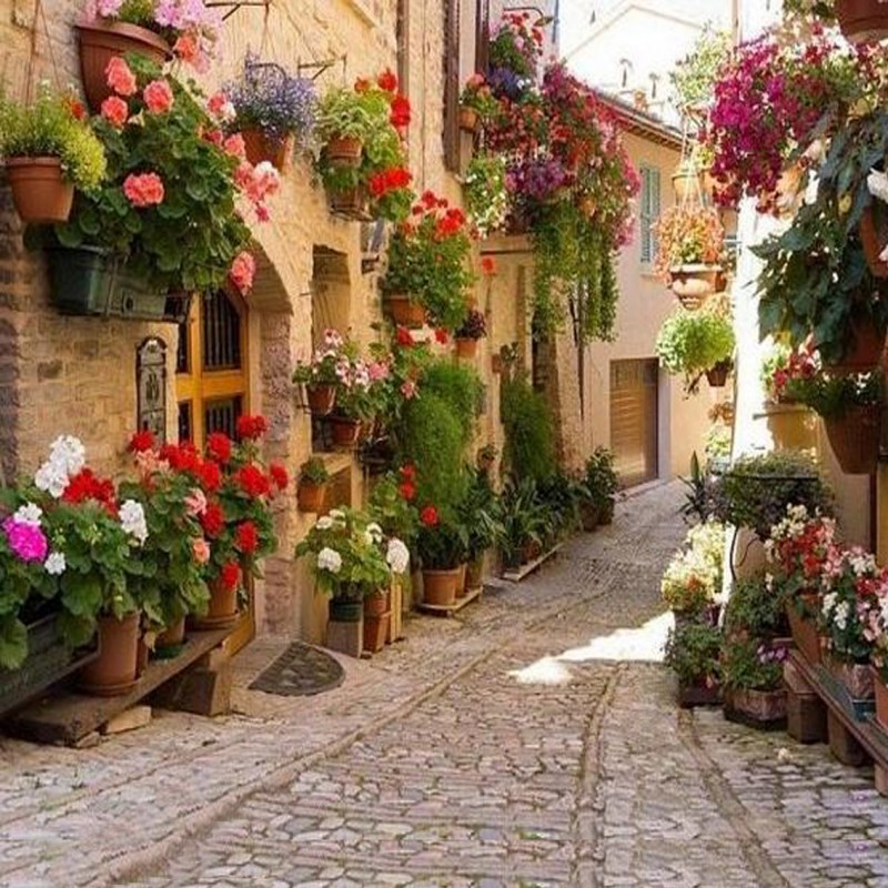 Umbria Italy - Paint...