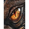 Furious Dragon's Eye Diamond Painting