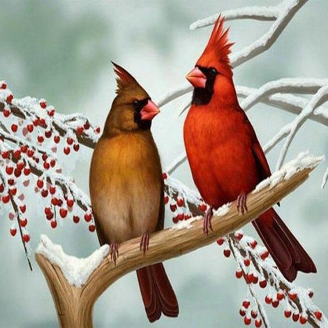 Cardinals Pair Diamond Painting