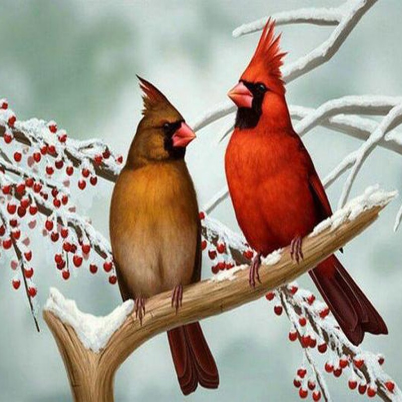 Cardinals Pair Diamo...