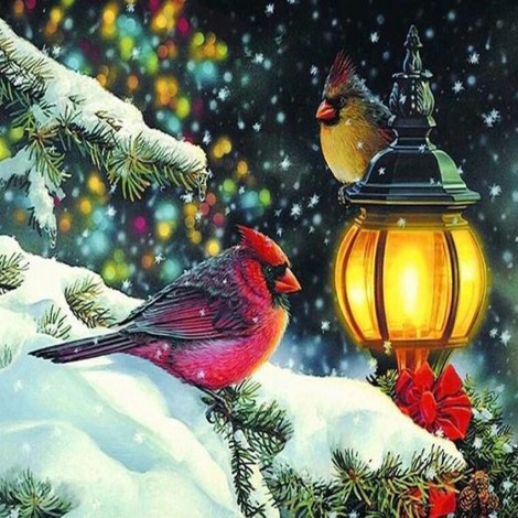 Winter Birds Diamond Painting Kit