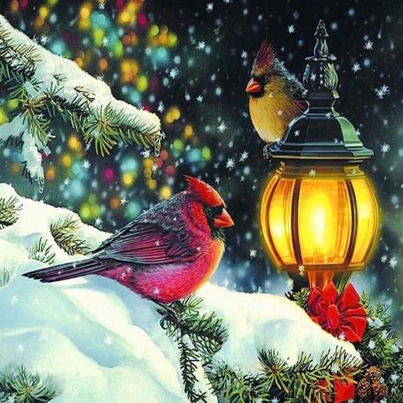Winter Birds Diamond...